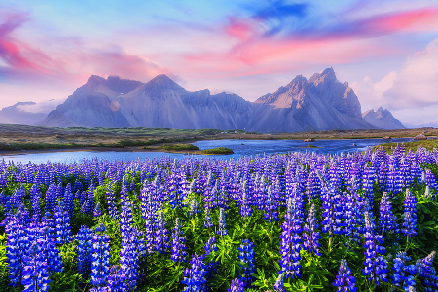 İzlanda'yı Kim Kurdu ? İzlanda, özellikle doğal güzellikleriyle turistik açıdan önemli bir ülkedir..