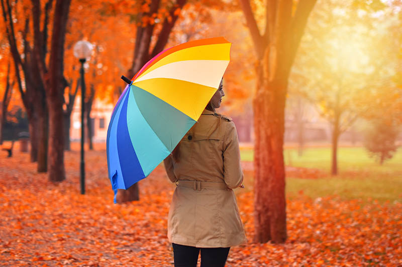 Şemsiyeyi Kim Buldu?