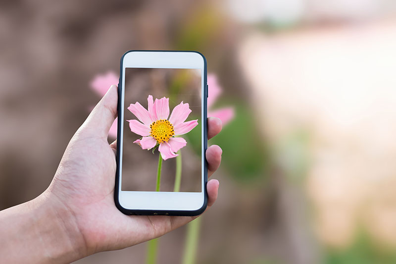 Telefonu Kim İcat Etti Neden Hâlâ Merak Ediliyor